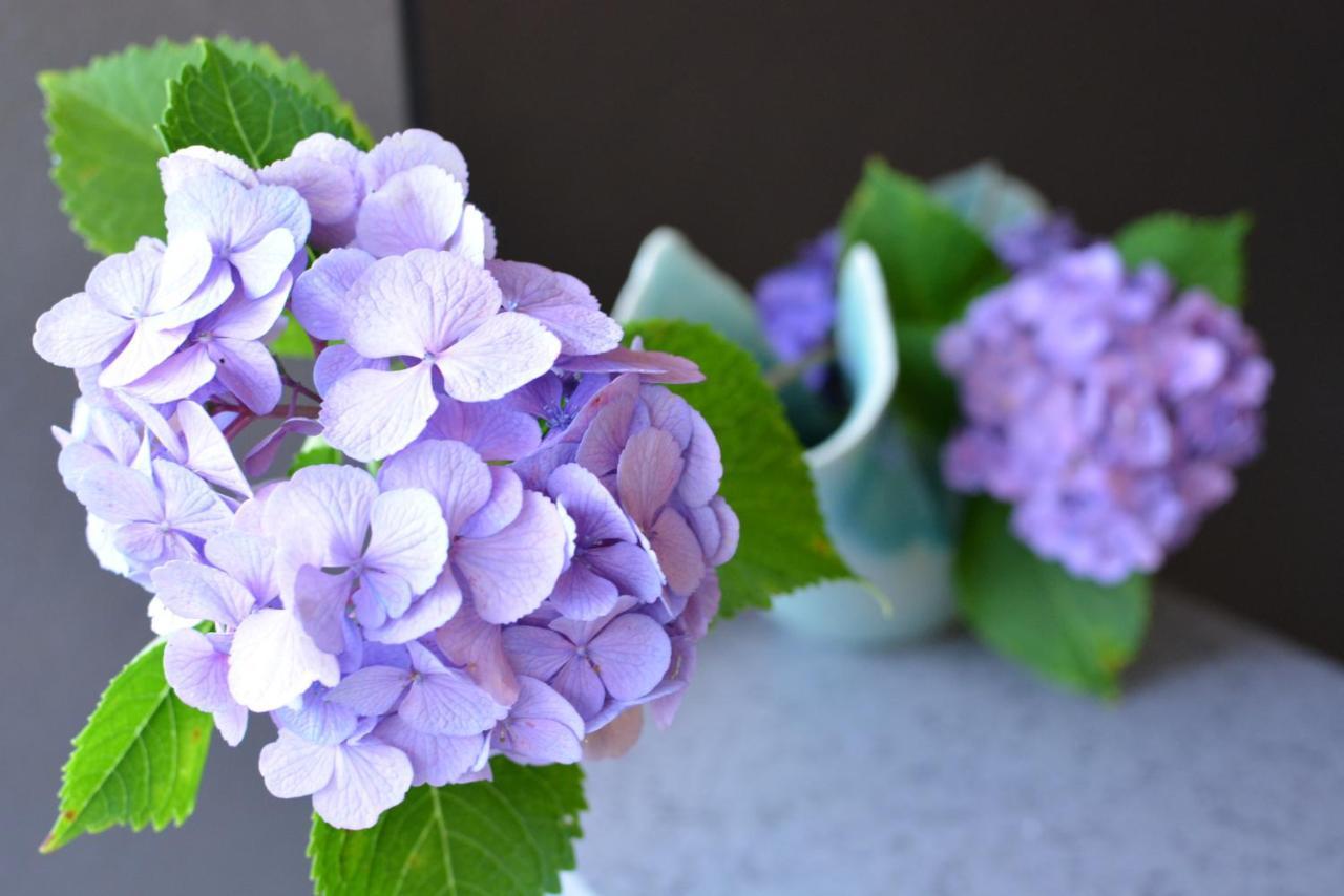 Shirahama No Yado Daigo Hotel ภายนอก รูปภาพ
